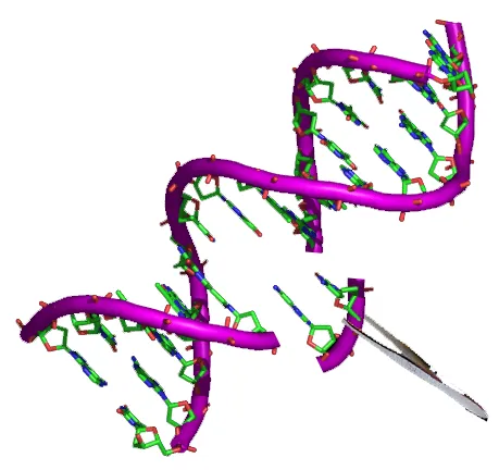 Profil de la thérapie génique et des innovations en matière de modification de l'ADN humain